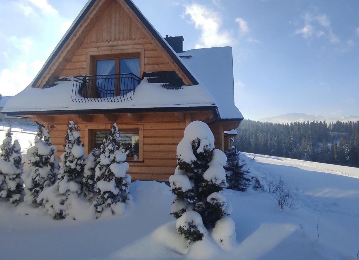 Witowianskie Domki Z Kominkiem, Jacuzzi I Sauna Dzianisz エクステリア 写真