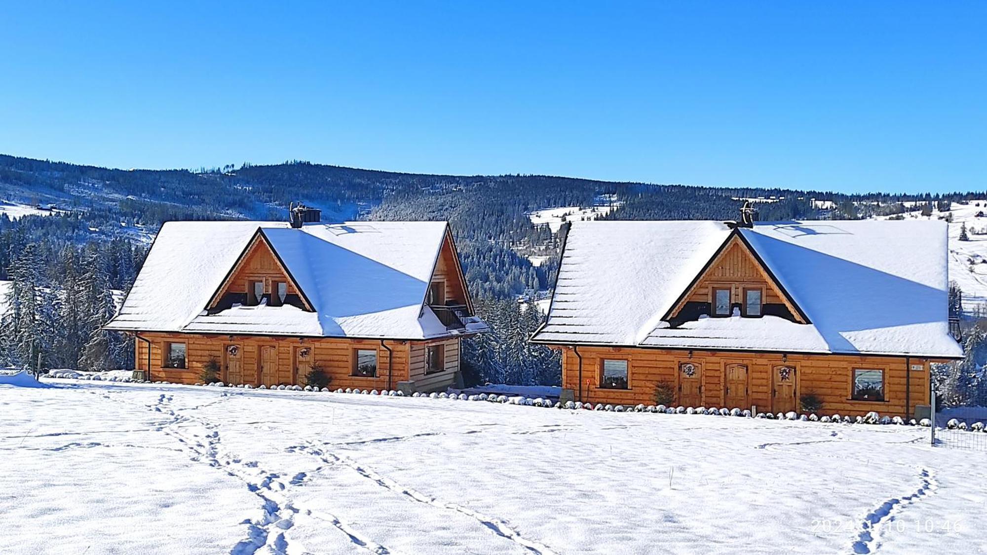 Witowianskie Domki Z Kominkiem, Jacuzzi I Sauna Dzianisz エクステリア 写真