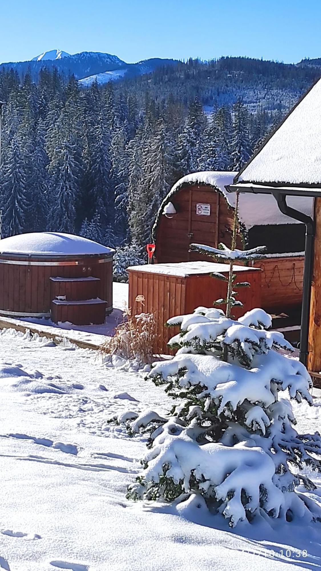 Witowianskie Domki Z Kominkiem, Jacuzzi I Sauna Dzianisz エクステリア 写真