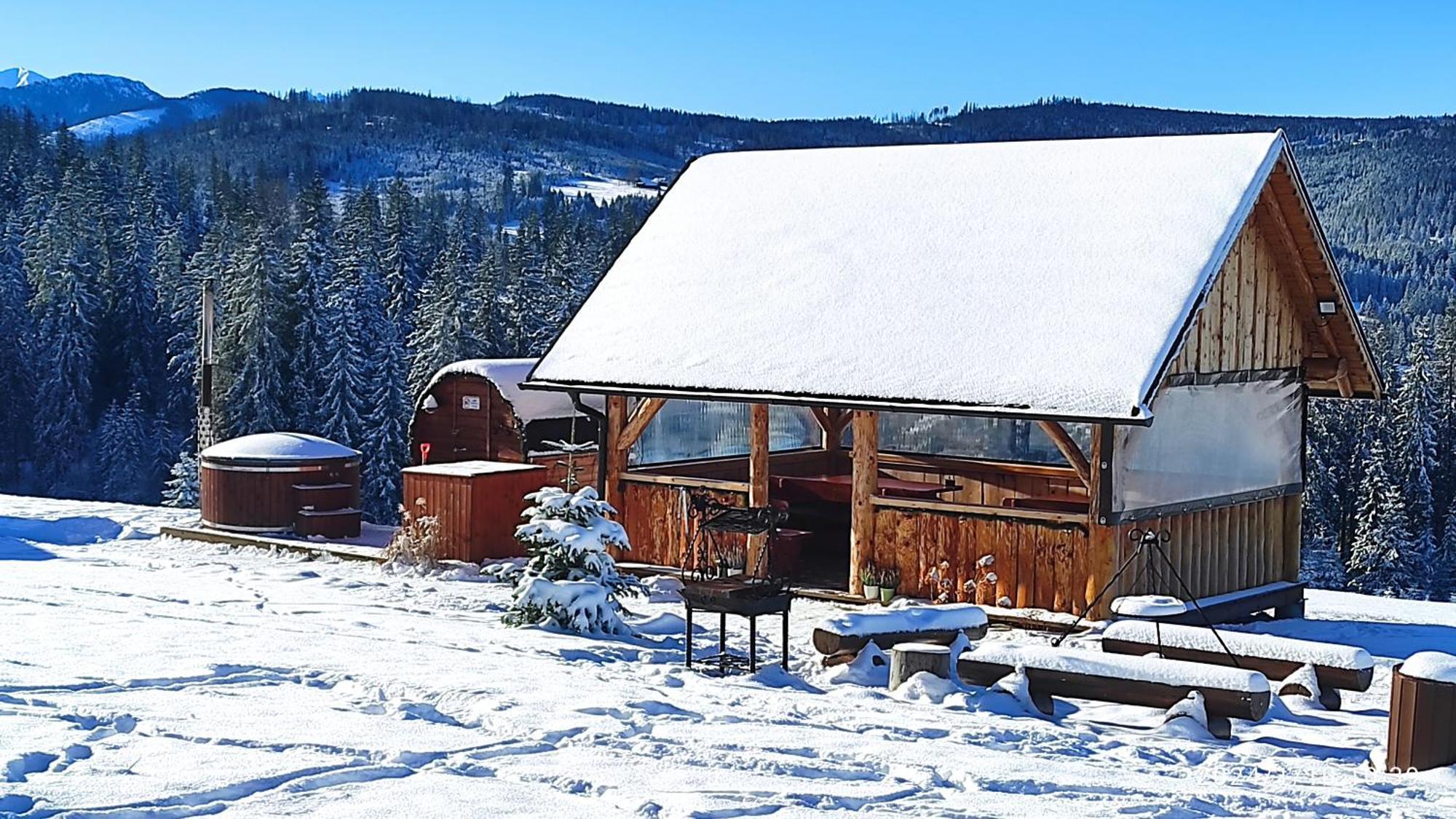Witowianskie Domki Z Kominkiem, Jacuzzi I Sauna Dzianisz エクステリア 写真