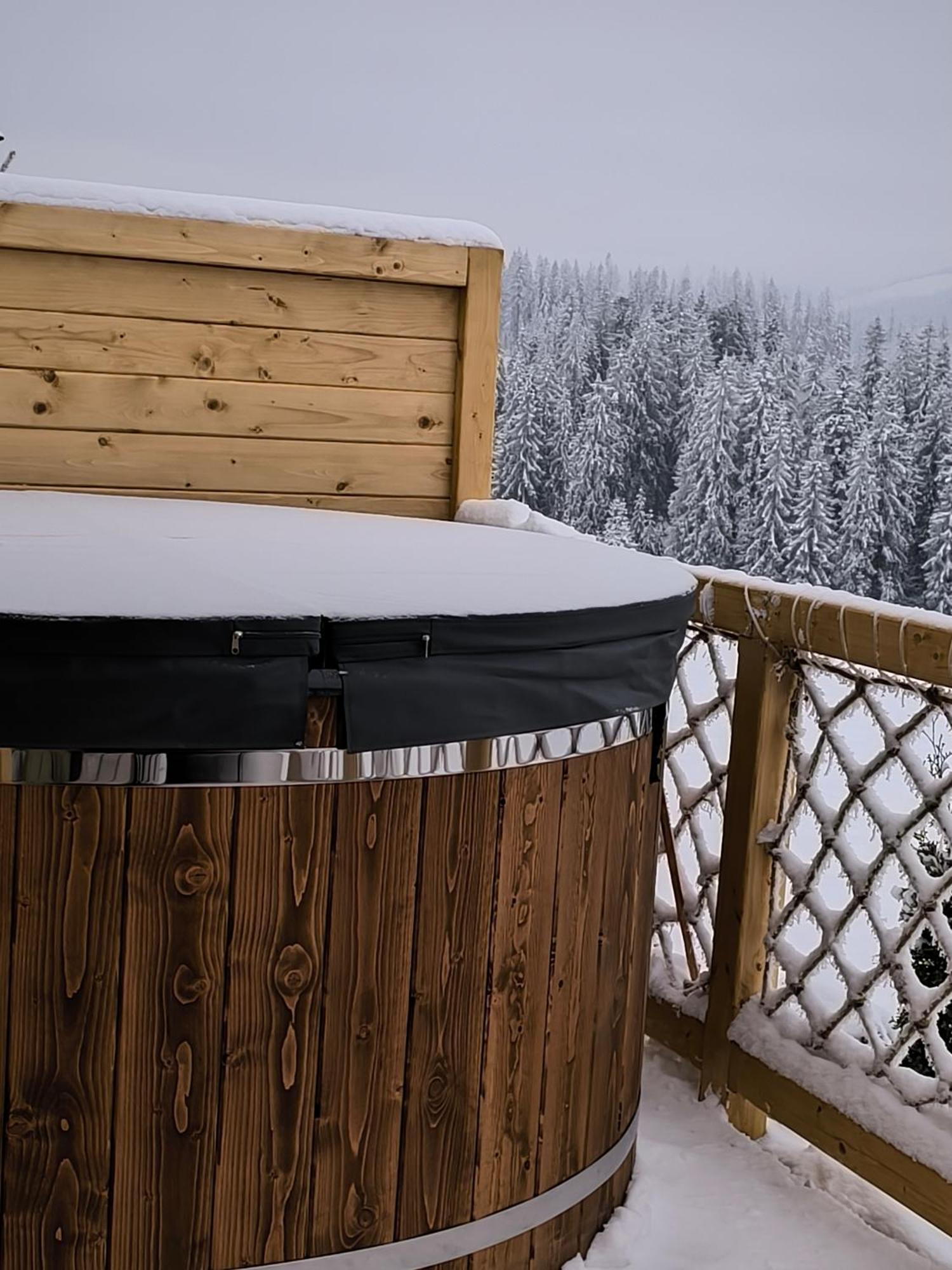 Witowianskie Domki Z Kominkiem, Jacuzzi I Sauna Dzianisz エクステリア 写真