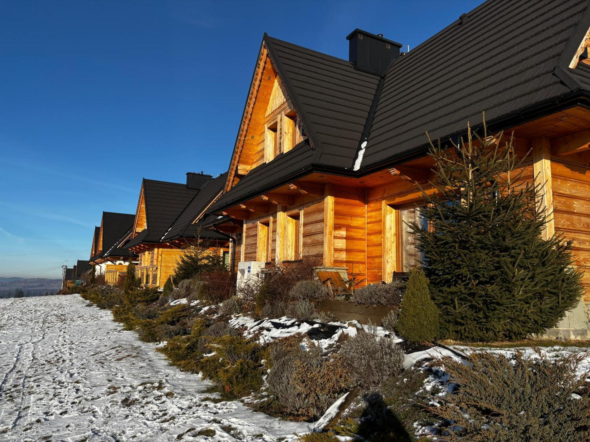 Witowianskie Domki Z Kominkiem, Jacuzzi I Sauna Dzianisz エクステリア 写真