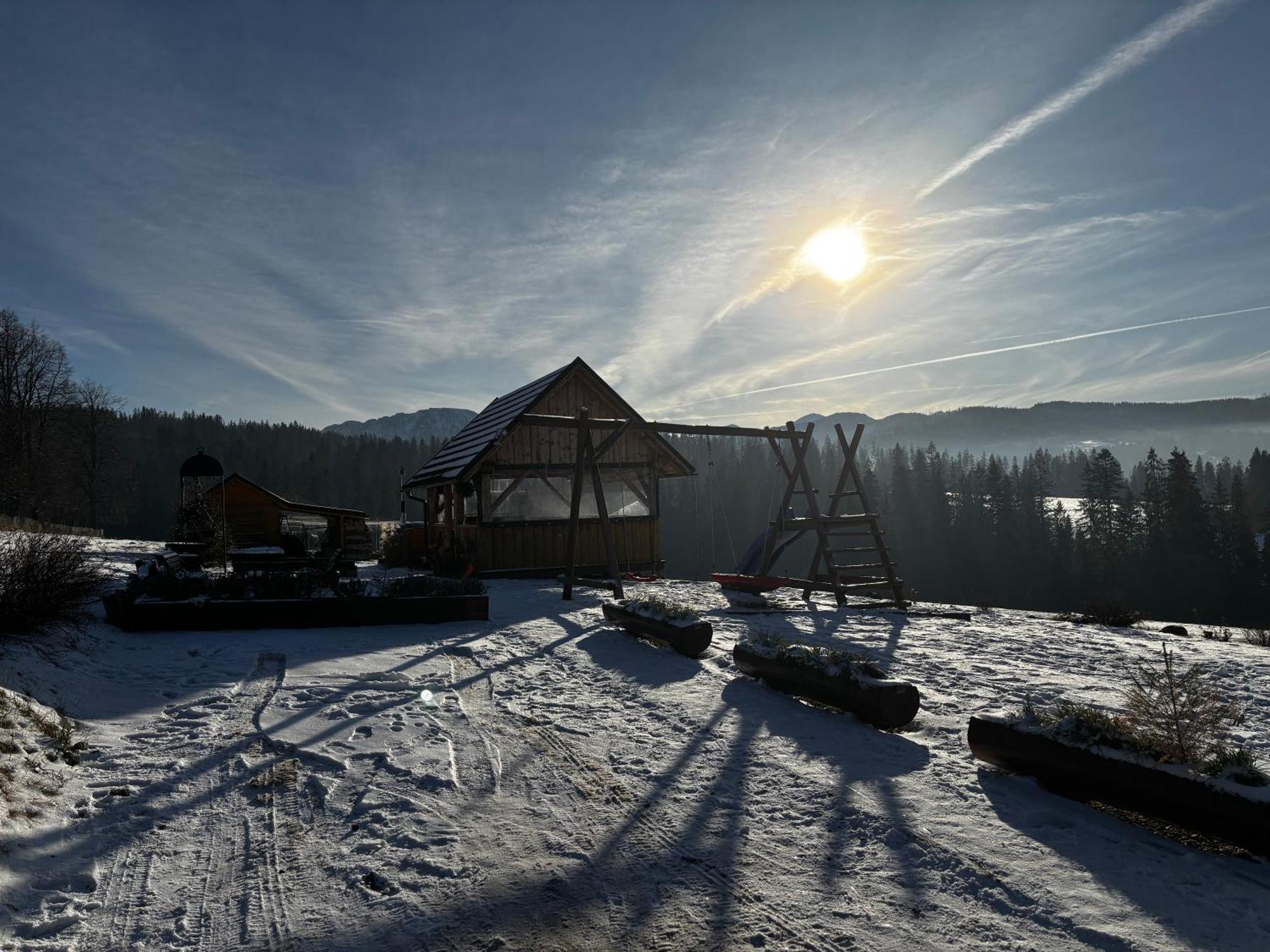 Witowianskie Domki Z Kominkiem, Jacuzzi I Sauna Dzianisz エクステリア 写真